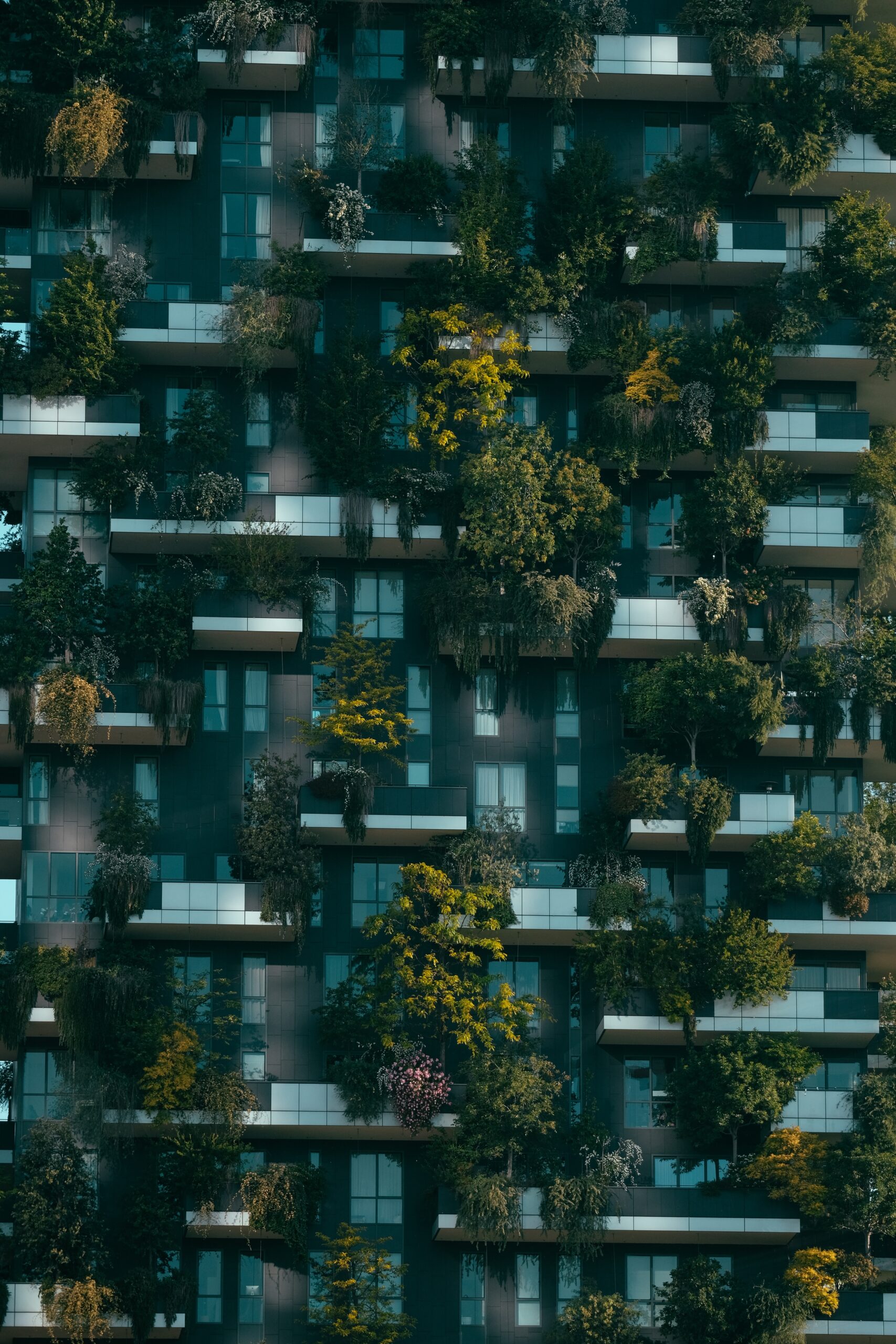 Green homes directive: what changes for the residential sector Green homes directive: what changes for the residential sector